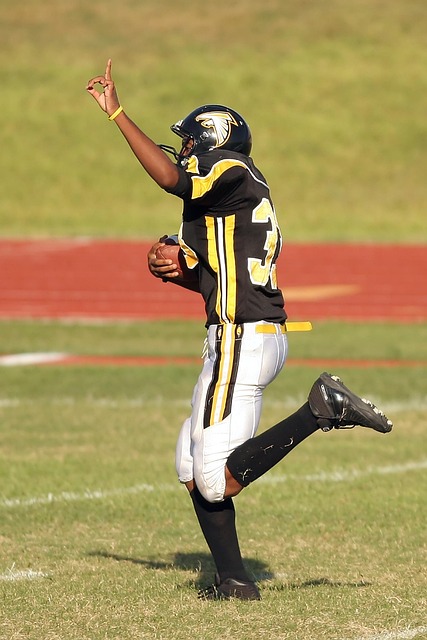 这不仅是为 这不仅是为